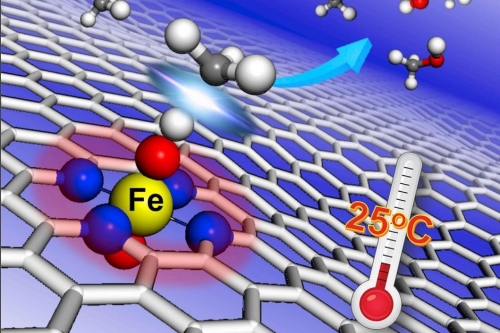 137718_Graphene-confined-single-Fe-atoms--screened-out-from-a-series-of-3d-transition---3x2